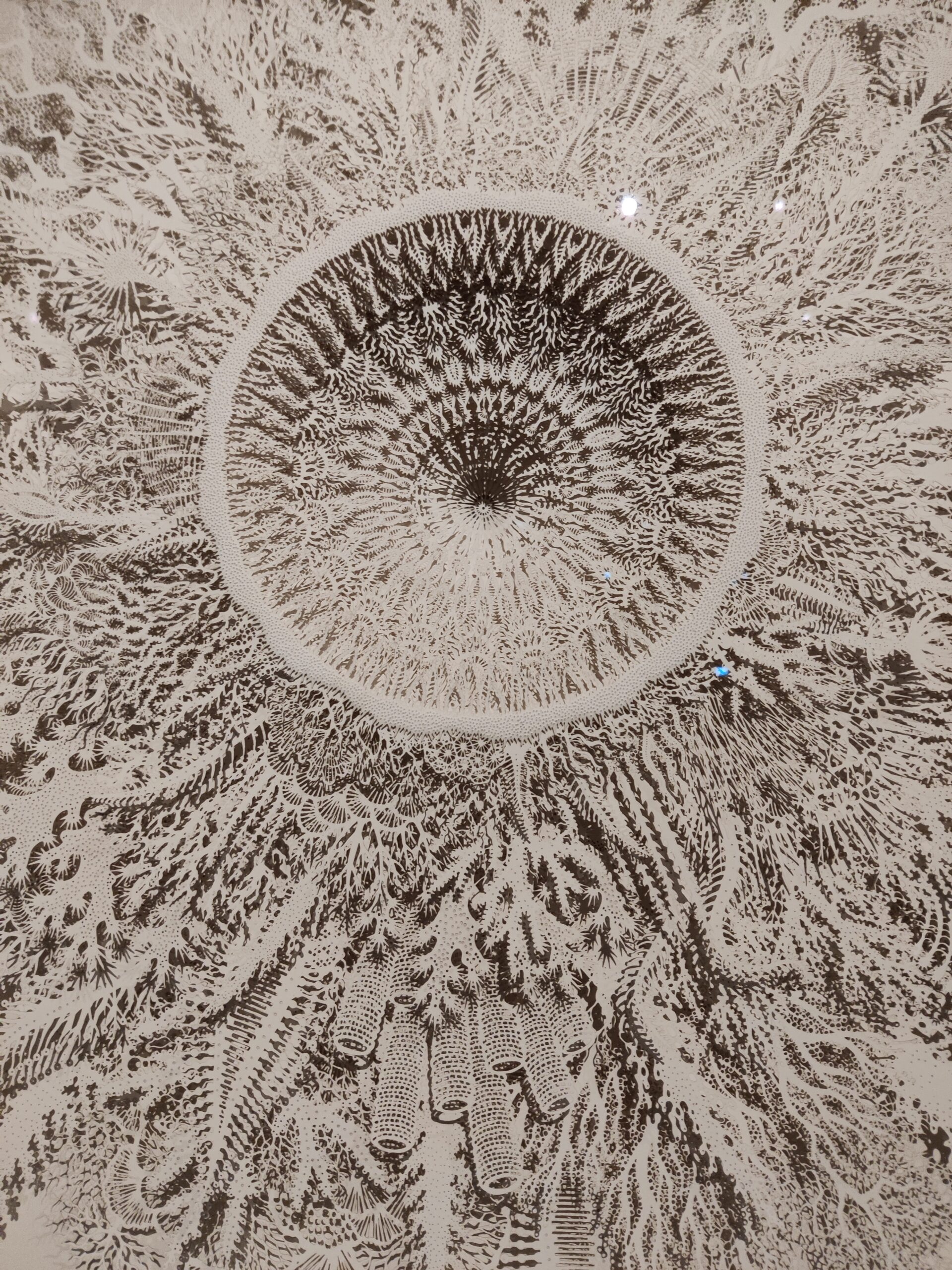 Ghost Coral Variation, Rogan Brown (UK, b. 1966) (2023). Laser- and hand-cut paper showing complex, imaginary patterns of corals, with a central circular motif.